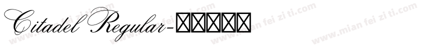 Citadel Regular字体转换